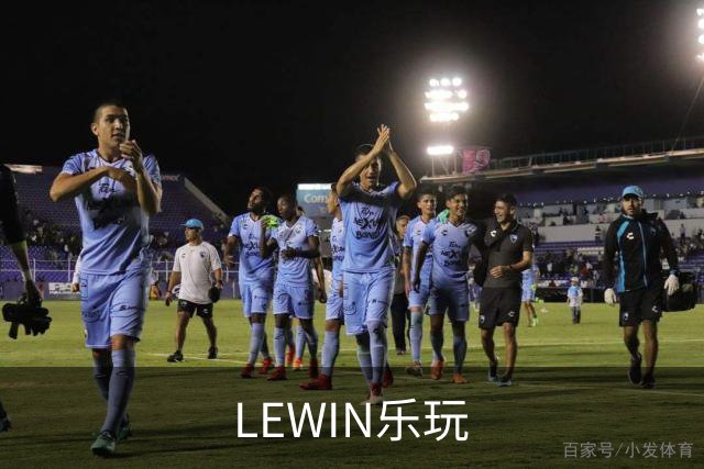 LEWIN乐玩公司简介